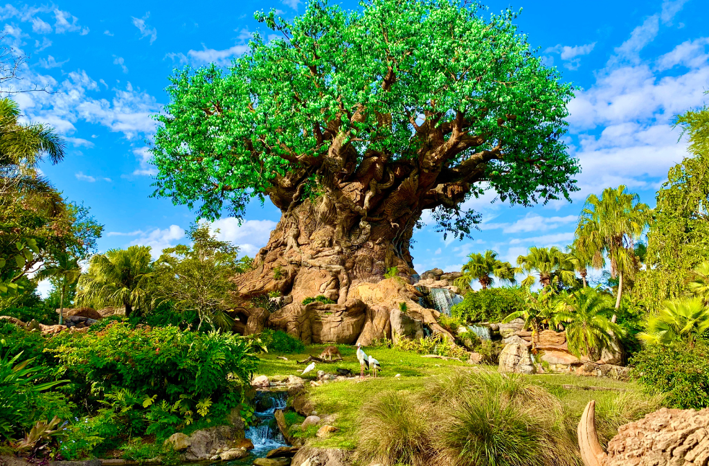 Things To Do Animal Kingdom